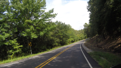 g0102561